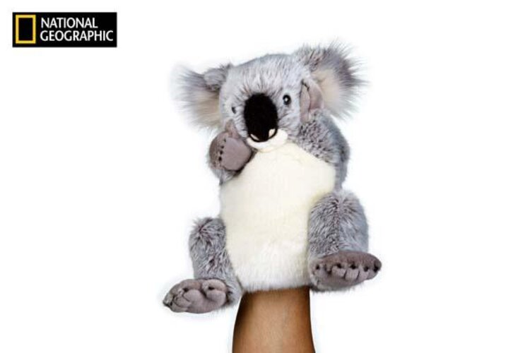 NATIONAL GEOGRAPHIC maňásek Koala 26 cm