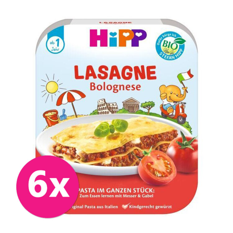 6x HiPP BIO Boloňské lasagne od 1 roku