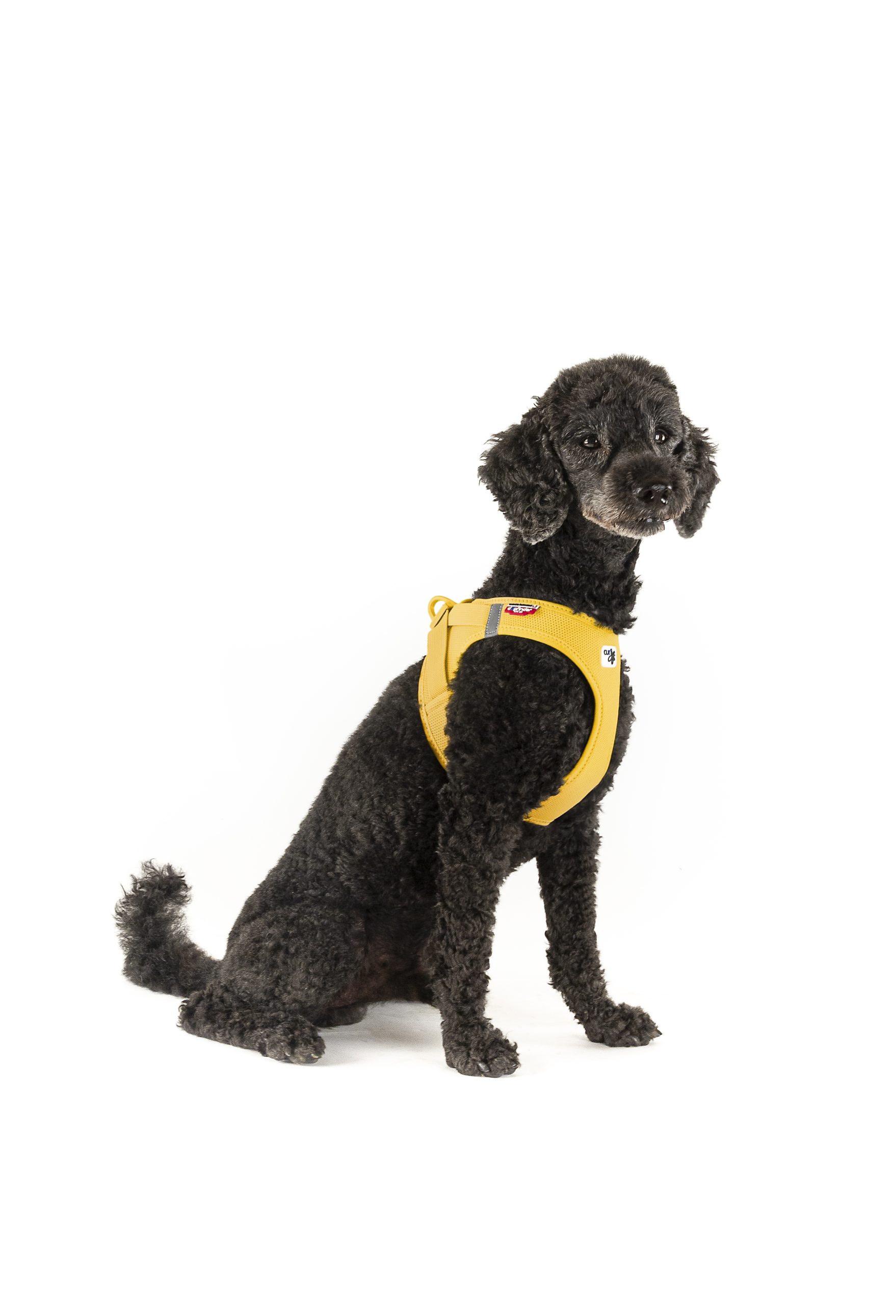 CURLI Postroj pro psy se sponou Air-Mesh Mango 3XS